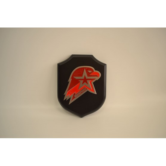 Эмблема Юнармии на щите