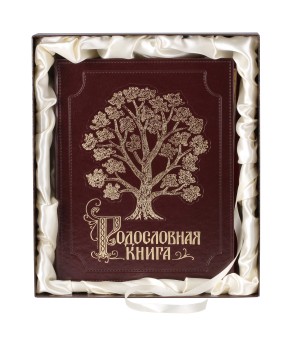 Родословная книга Художественная бордо в футляре пейсли