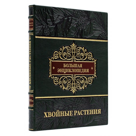 Хвойные растения. Большая энциклопедия, подарочное издание