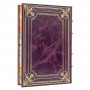 Книга Франклин Рузвельт