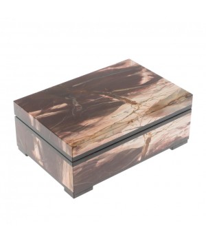 Шкатулка из камня окаменелое дерево 12х8х4,5 см 129701 Шкатулка из камня окаменелое дерево 12х8х4,5 см 129701