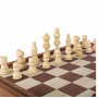 Настольная игра 5 в 1: шахматы, шашки, нарды, людо, змеи CBLS34E